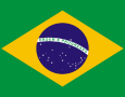 Mega Metals exports custom brass components, brass electrical parts and brass fasteners to Brazil
