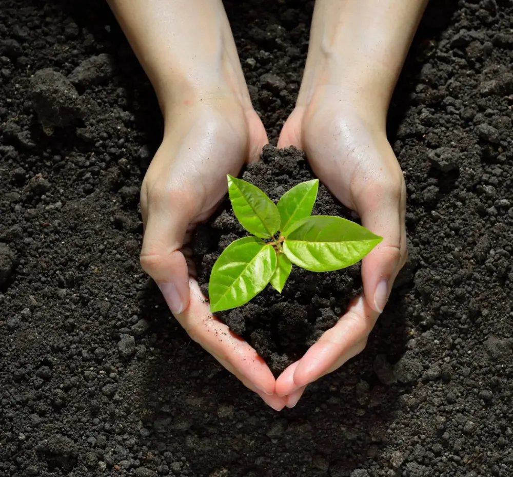 Environment Responsibility - Sustainable Brass Manufacturing at Mega Metals